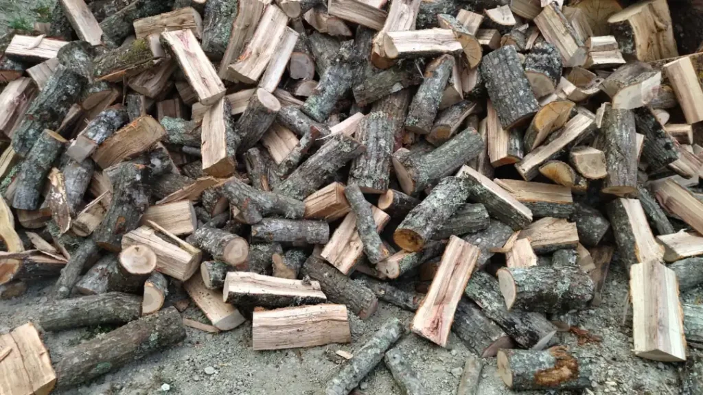 legna da ardere Bologna