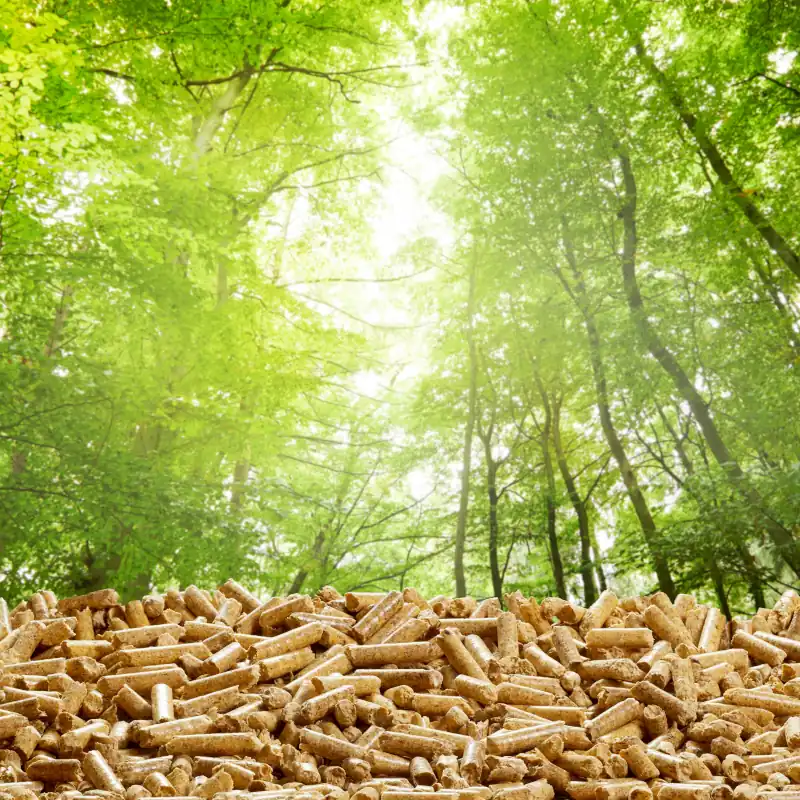 chi siamo 5 offerte pellet