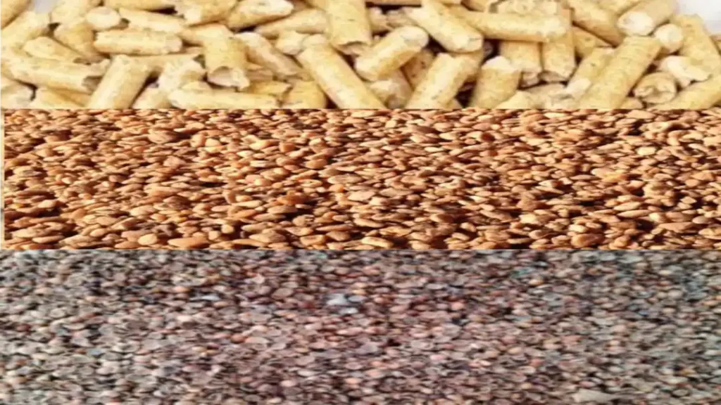 nocciolino, gusci di mandorle e nocciole